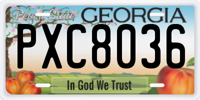 GA license plate PXC8036