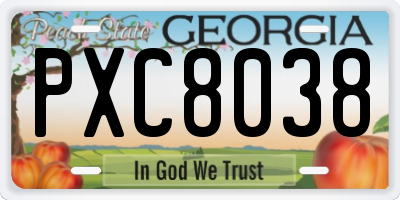 GA license plate PXC8038
