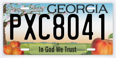 GA license plate PXC8041