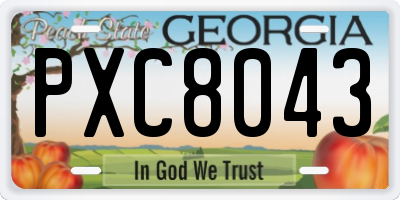 GA license plate PXC8043