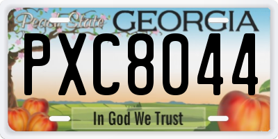GA license plate PXC8044