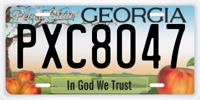 GA license plate PXC8047