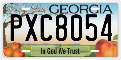 GA license plate PXC8054