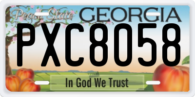 GA license plate PXC8058