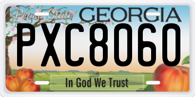 GA license plate PXC8060