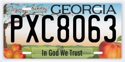 GA license plate PXC8063