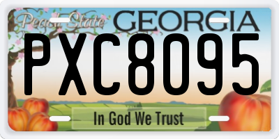 GA license plate PXC8095