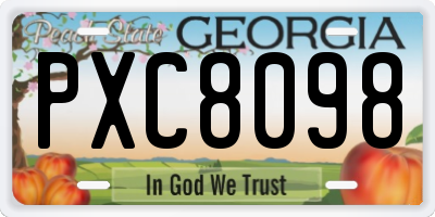 GA license plate PXC8098