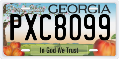 GA license plate PXC8099