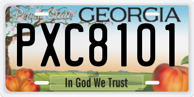 GA license plate PXC8101