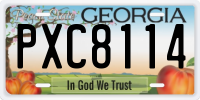 GA license plate PXC8114