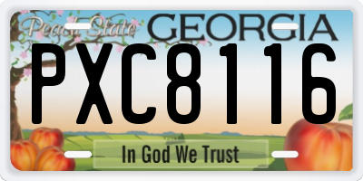 GA license plate PXC8116