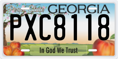 GA license plate PXC8118