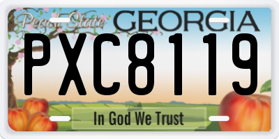 GA license plate PXC8119
