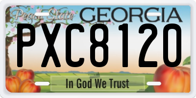 GA license plate PXC8120