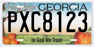 GA license plate PXC8123