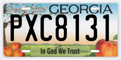GA license plate PXC8131