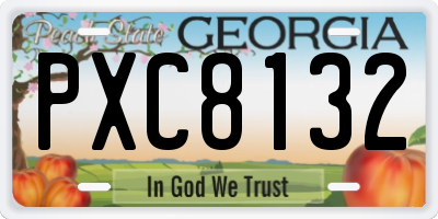 GA license plate PXC8132