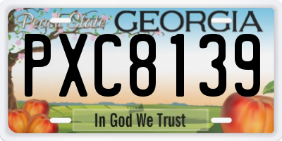 GA license plate PXC8139