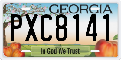 GA license plate PXC8141