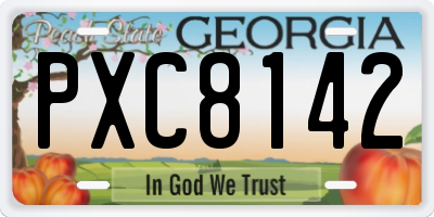 GA license plate PXC8142