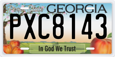 GA license plate PXC8143