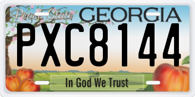 GA license plate PXC8144