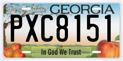 GA license plate PXC8151