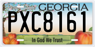 GA license plate PXC8161