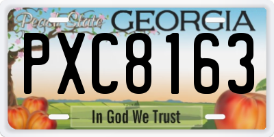 GA license plate PXC8163