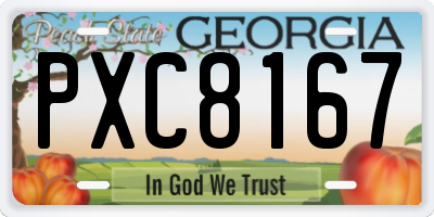 GA license plate PXC8167
