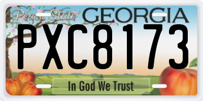 GA license plate PXC8173
