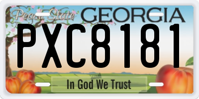 GA license plate PXC8181