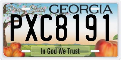 GA license plate PXC8191