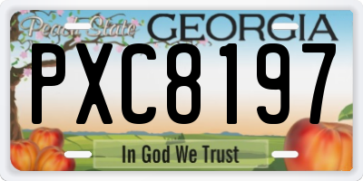 GA license plate PXC8197