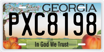 GA license plate PXC8198