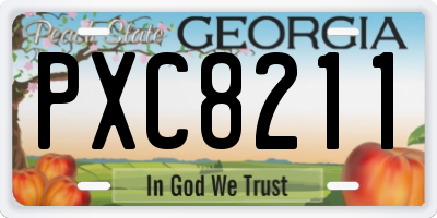 GA license plate PXC8211