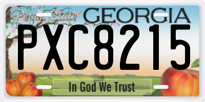GA license plate PXC8215