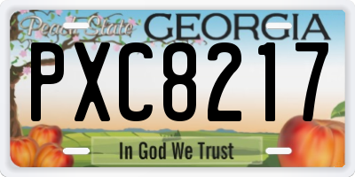 GA license plate PXC8217