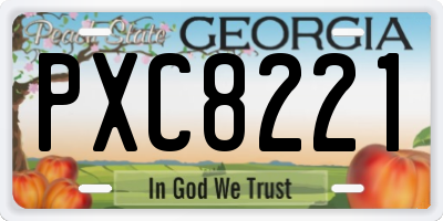 GA license plate PXC8221