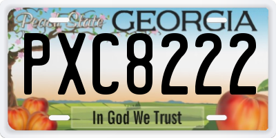 GA license plate PXC8222