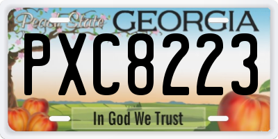 GA license plate PXC8223