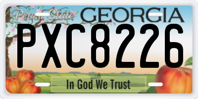 GA license plate PXC8226