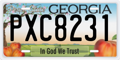 GA license plate PXC8231