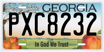 GA license plate PXC8232
