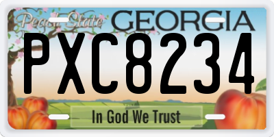 GA license plate PXC8234