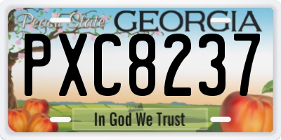 GA license plate PXC8237
