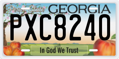 GA license plate PXC8240