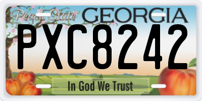 GA license plate PXC8242