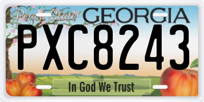 GA license plate PXC8243